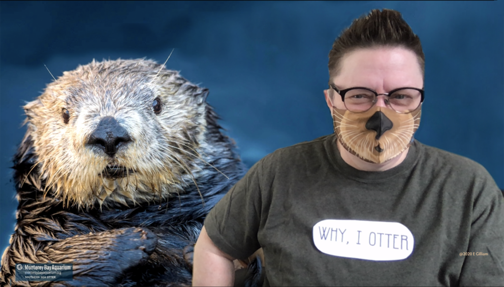 Why I Otter - Conference Call Fun